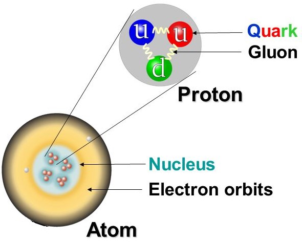 What is a Gluon